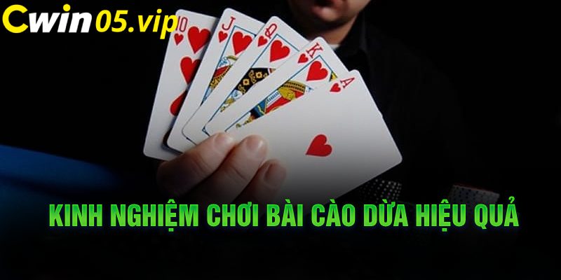 Kinh nghiệm chơi bài cào dừa hiệu quả